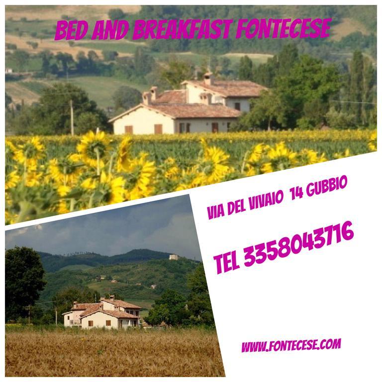 Fontecese Aparthotel Губио Екстериор снимка